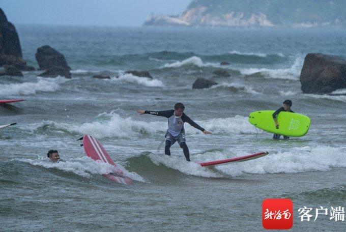 魔鬼辣椒可以杀死蟑螂吗？