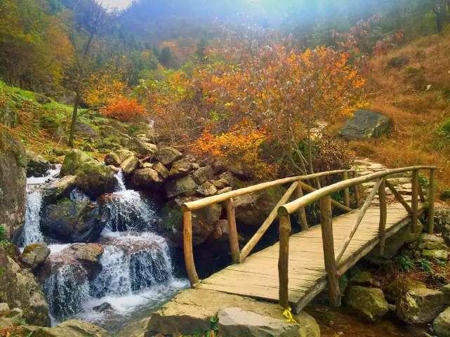 寻找火鸡
